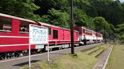 大井川鉄道SL＆南アルプスあぷとラインと寸又峡温泉、夢の吊り橋