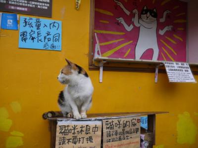 沖縄乗継ピーチで台北　猫村と象山散歩　2泊3日