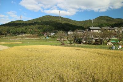 春日井三山