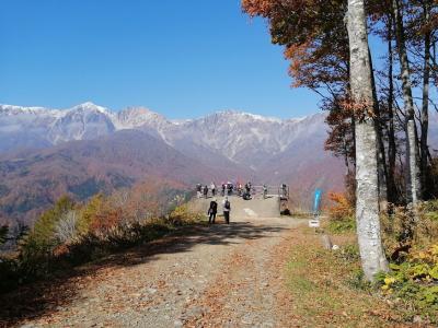 白馬の秋!北アルプスと信州の地酒に酔う~コートヤード白馬で過ごす5日間です
