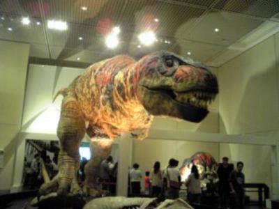 2011 12月 福井旅行恐竜博物館☆子連れ