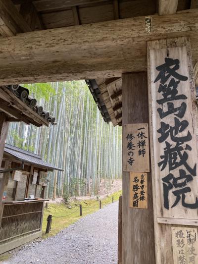 地蔵院(竹の寺)へ嵐山から大覚寺へ