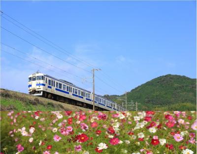 瑞風の旅前夜祭～日豊本線415系と、中津の「三光コスモス園」を訪ねて～