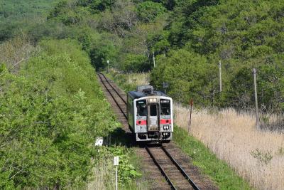 武佐の森と花咲線の絶景2019～花の咲く自然豊かな森と車窓から眺める別寒辺牛湿原～（釧路）