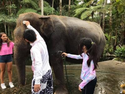 象！象！！象！！！