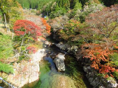 奥矢作ダムＷＲＣラリーコース～茶臼山の紅葉