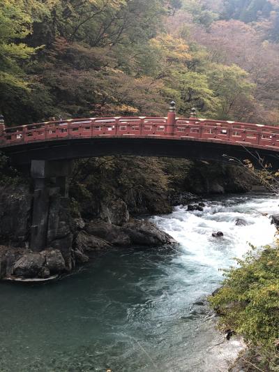 紅葉、週末は混んでます