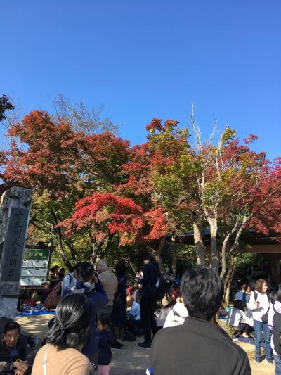 高尾山が紅葉始めました&#10071;️&#127809;