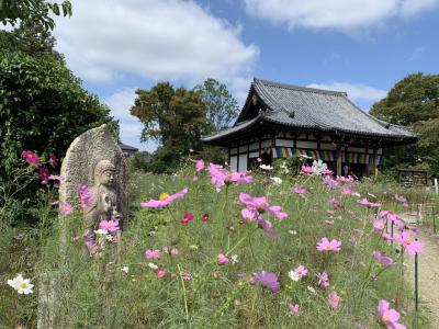 1泊2日 奈良・大和郡山 秋旅