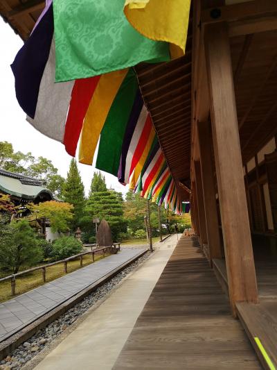 京都南座新開場前！10月の京都。智積院、東福寺、京都国立博物館