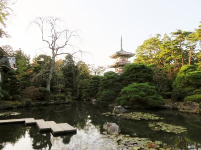 chokoっと散歩～紅葉にはちょっと早かった北山を散策～