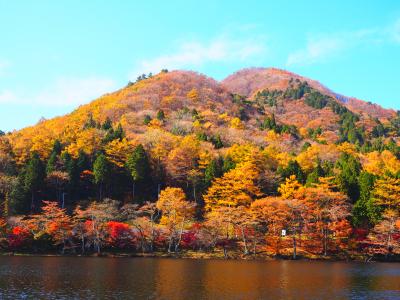 2019榛名湖・伊香保の紅葉