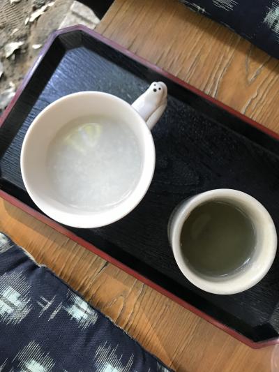 六義園と旧古河庭園 紅葉めぐり