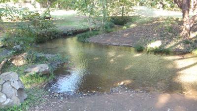 野川(東京)の秋 2