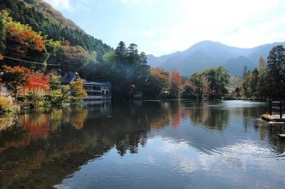 秋の紅葉、湯布院さんぽ-ミッフィー森のパン屋さんへ-