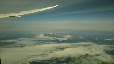 2019年11月 ジャカルタ出張旅行記(1/5)