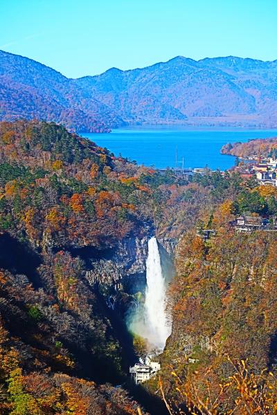 サンチャゴ　天然木　一枚板　衝立 つい立 オブジェ置物 徳川家康遺訓　日光 lrg_11565021.jpg?updated_at=