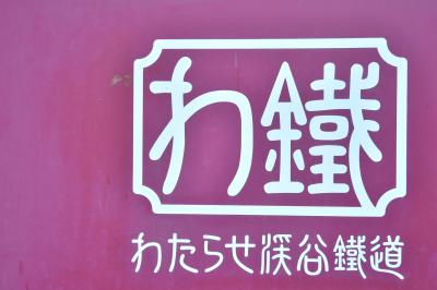 わたらせ渓谷鉄道撮り鉄旅　うん十年来の友人たちとの楽しかった一日