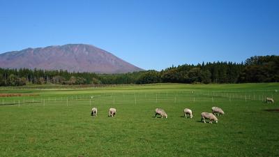 念願の東北の旅！ＬＣＣで岩手へ！！③　海鮮丼に焼肉、盛岡冷麺！念願の小岩井農場へ