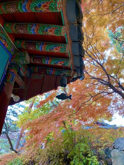ソウル 女一人旅 に関する旅行記 ブログ フォートラベル 韓国 Seoul
