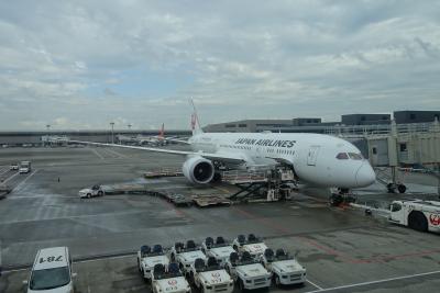【フライト編①】JAL787ビジネスクラス　福岡→成田→デリー 　～ワンワールド世界一周航空券で2ヶ月の旅