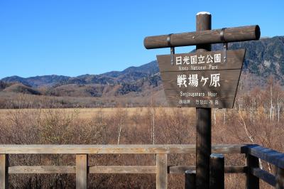 戦場ヶ原（栃木県日光市）へ・・・