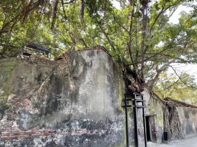 台湾に行ってきました(*´∀`)♪⑪台南~ガジュマルに浸食された廃虚『安平樹屋』