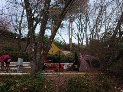 城峯公園冬桜キャンプ