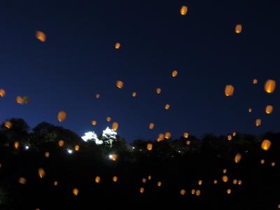 紅葉の越前大野城ライトアップとスカイランタン♪　スカイランタンに感動♪