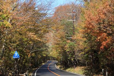 丸山駐車場（栃木県日光市）へ・・・