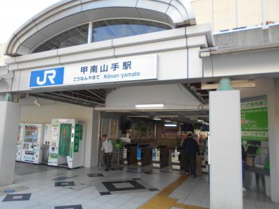 甲南山手駅から魚屋道、保久良神社へ植物観察