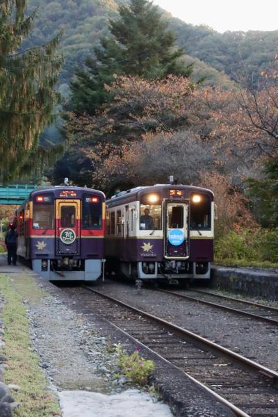 ブララブコー「紅葉を求めて、わたらせ渓谷鉄道撮り鉄旅」