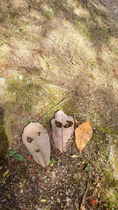 お初の甲府 紅葉の昇仙峡1DAYトリップ