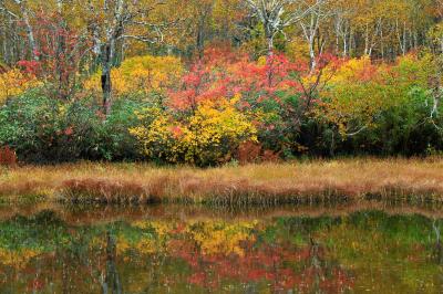 久しぶりの北海道秋旅行　（2） 紅葉と草モミジに染まった神仙沼