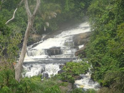(45)2020年１月西アフリカ3カ国13日間(1)(リベリア北部のボング地方に暮す民族の村訪問　森を歩きクパタウェの滝へ）