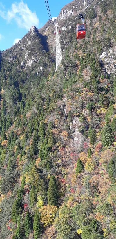 リベンジ成功、御在所ロープウェイの紅葉へーしかも今回は青空よ