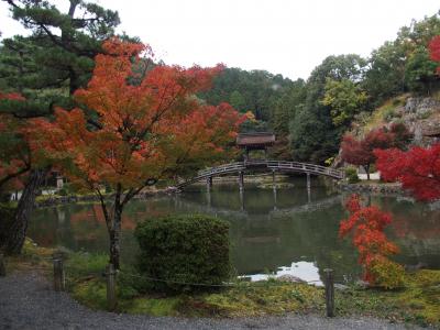 多治見虎渓山永保寺の紅葉2019