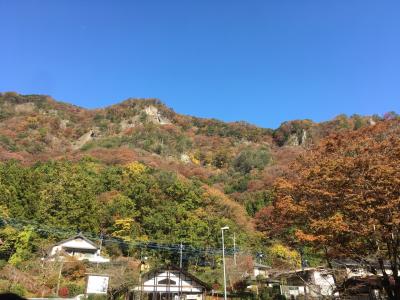 袋田の滝紅葉