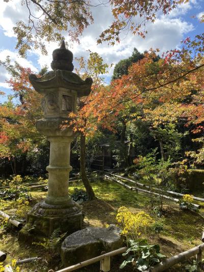 いい天気、奥嵯峨野へ