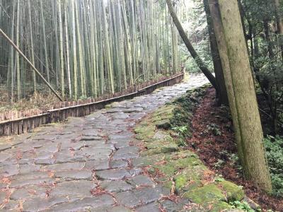 鹿児島いいとこ、ひとりたび～2日目～