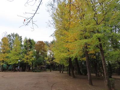 妻と秋を見つけに羽根木公園 世田谷 2019/11/12