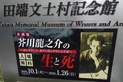 ☆丸の内の江戸前寿司ランチ・田端文士村で芥川龍之介の生と死・新橋泊・・2019.11東京滞在①