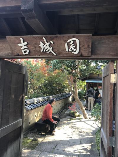 紅葉を求めて吉城園、依水園へ