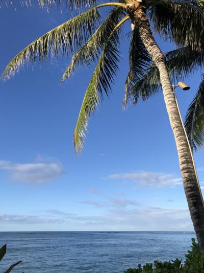 70歳母と3歳娘を連れて40歳のわたし初ハワイ!