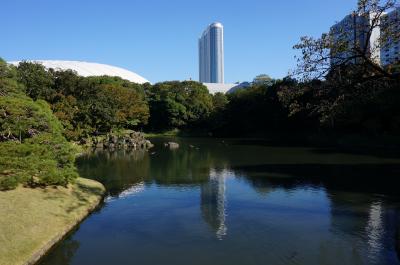 都立庭園カレンダーＧＥＴ♪　９か所都内庭園巡り　⑤　（小石川後楽園）