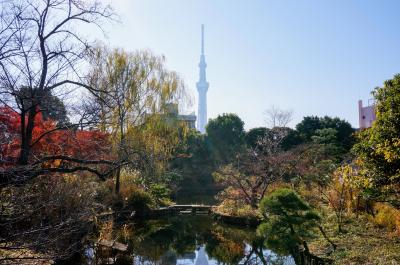 都立庭園カレンダーＧＥＴ♪　９か所都内庭園巡り　⑧　（向島百花園）