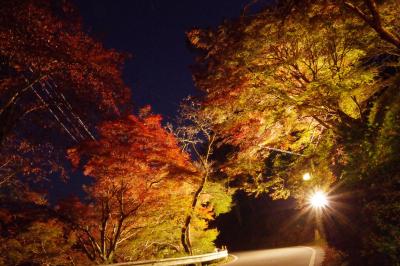 2019年、ちょこっとですが今年も吉野へ紅葉ライトアップへ+おまけ。家の近所の道の駅のライトアップ