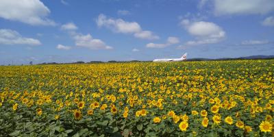 2019 東北海道の旅　その３