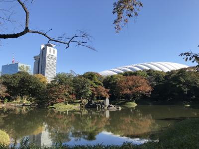 小石川後楽園【2019.11.16　紅葉は、ま～だかな～】