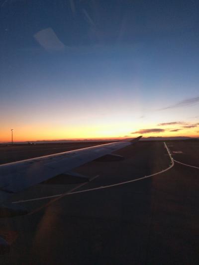 2019 別府温泉道裏泉家(1)~セントレア出発~